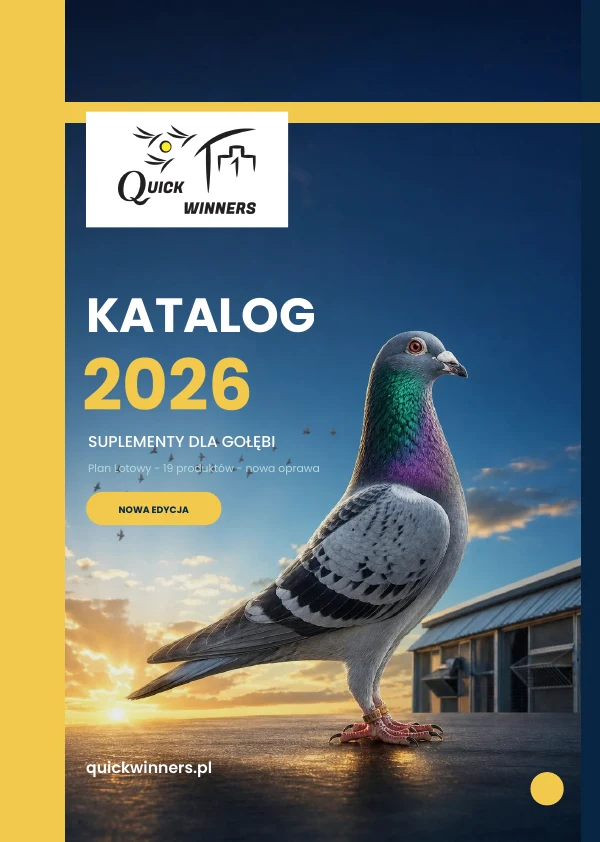 Okładka katalogu QuickWinners 2026